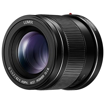 Panasonic - パナソニックLUMIX G 42.5mm/F1.7 ASPH ブラック Panasonic LUMIX G 42.5mm / F1.7 ASPH. / POWER O.I.S. 実写